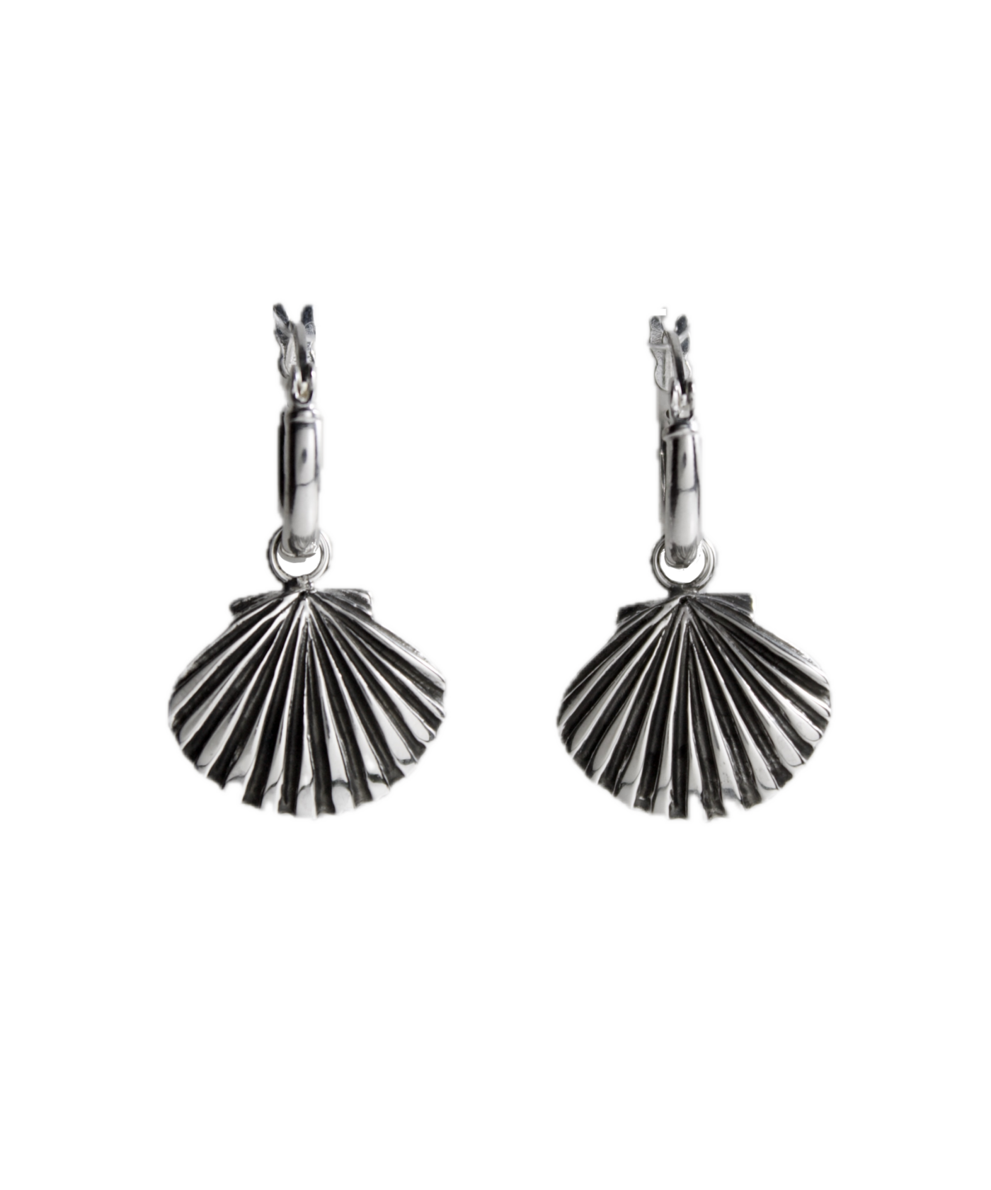 Scallop Earrings
