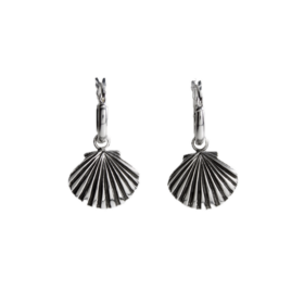 Scallop Earrings
