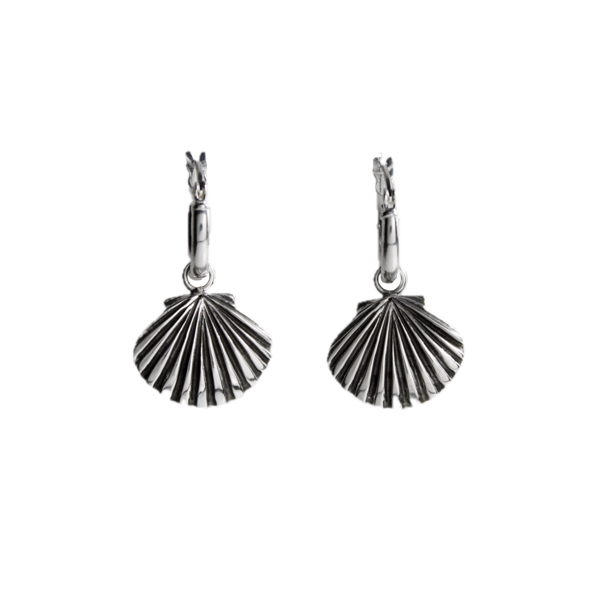 Scallop Earrings